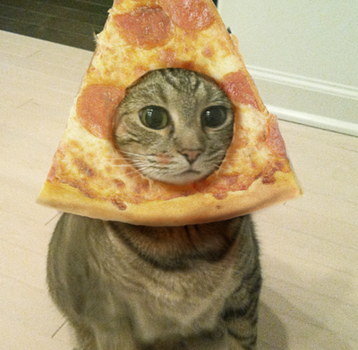 pizzacat