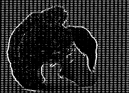vruot