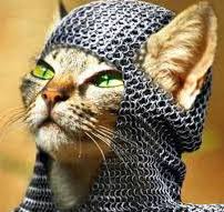 sirnigel
